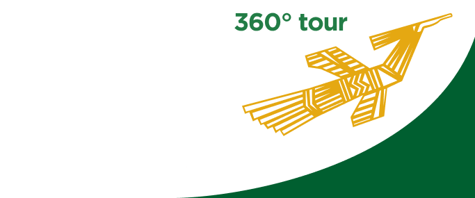 360 Tour Bird